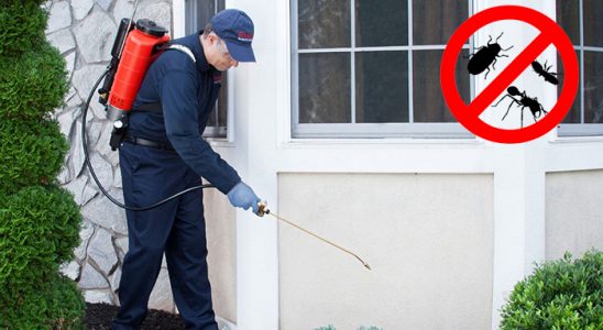 Çekerek Hamam Böceği İlaçlama böcek ilaçlama ve haşere kontrolü — ilaclama-tr.com